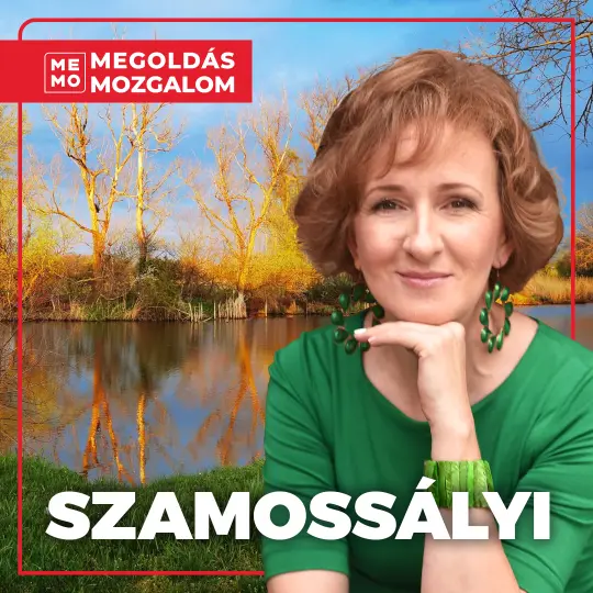 Szamossályi